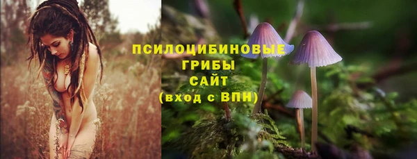 винт Алексеевка